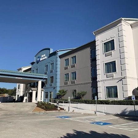 Best Western Houston Iah Intercontinental Airport Inn Humble Eksteriør bilde